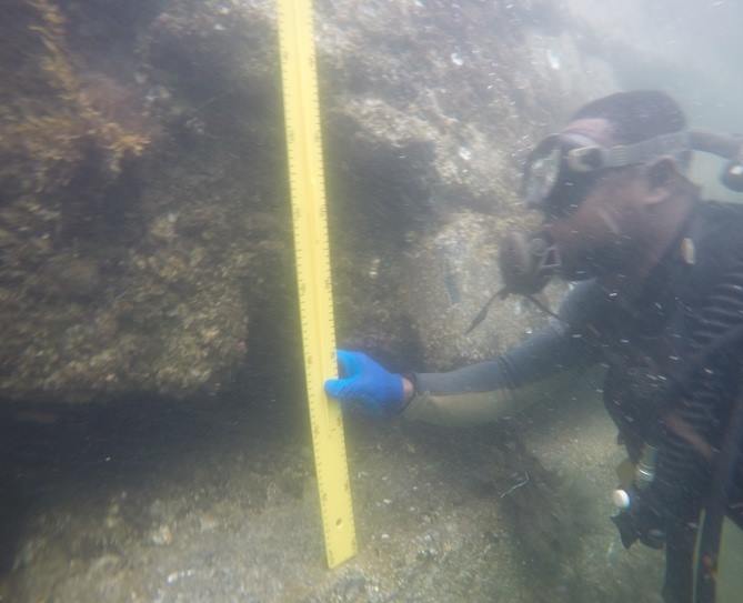 Inspection subaquatique d'un ouvrage immergé